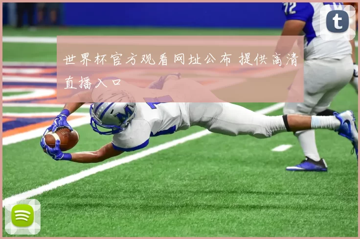 世界杯官方观看网址公布 提供高清直播入口