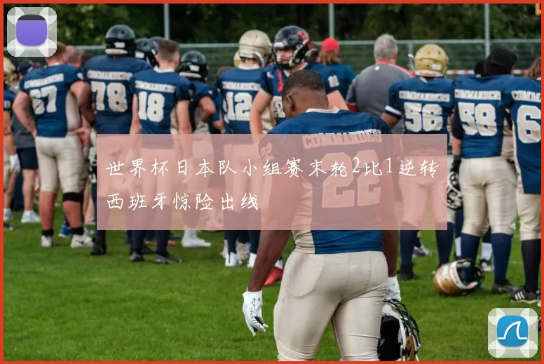 世界杯日本队小组赛末轮2比1逆转西班牙惊险出线