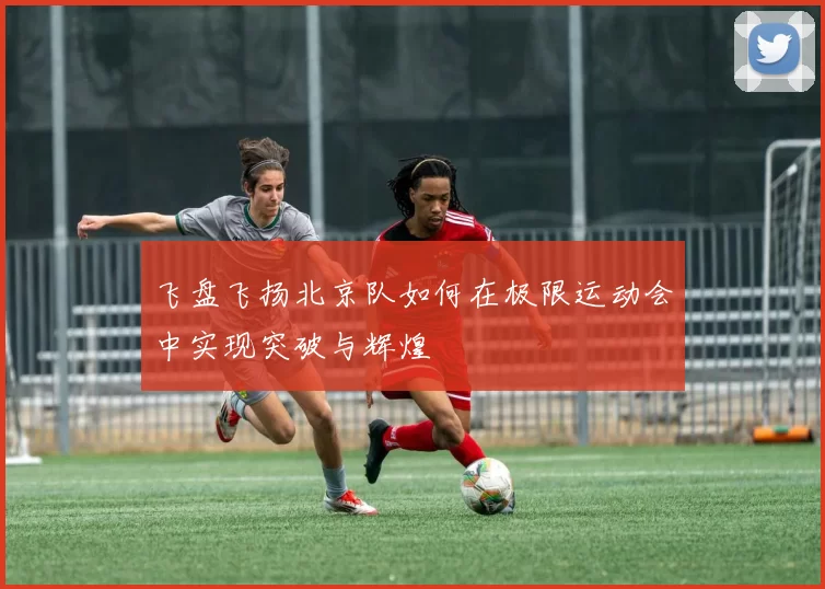 飞盘飞扬北京队如何在极限运动会中实现突破与辉煌