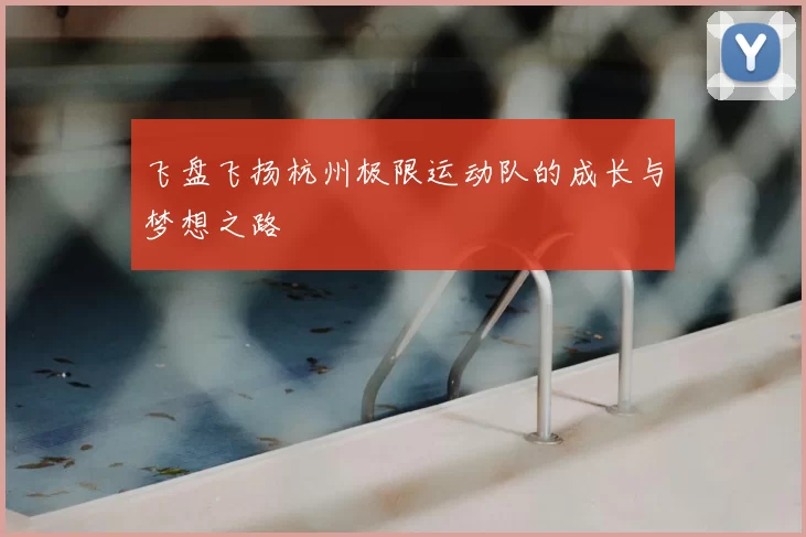 飞盘飞扬杭州极限运动队的成长与梦想之路