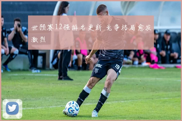 世预赛12强排名更新 竞争格局愈发激烈