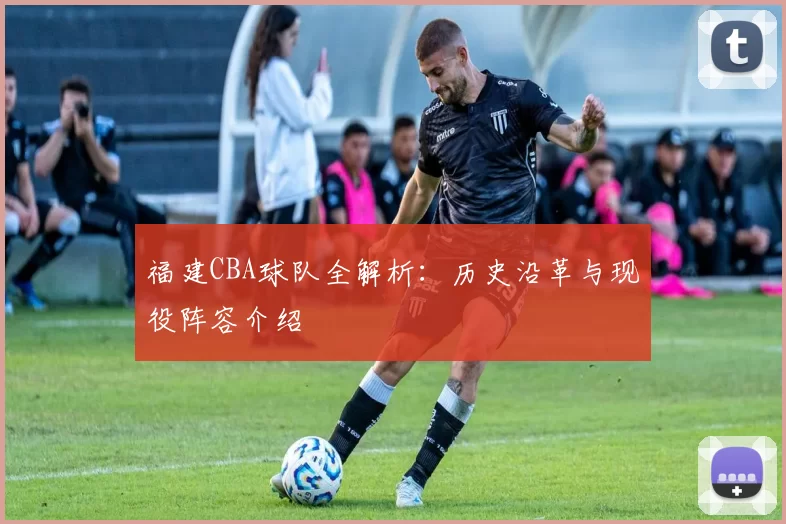 福建CBA球队全解析：历史沿革与现役阵容介绍
