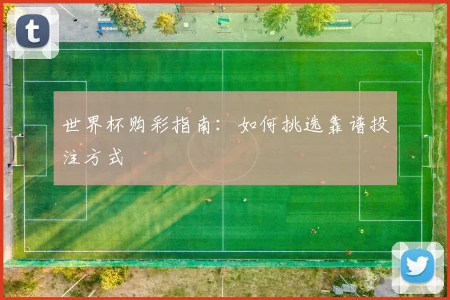 世界杯购彩指南:如何挑选靠谱投注方式