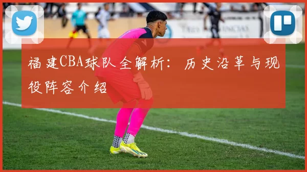 福建CBA球队全解析：历史沿革与现役阵容介绍
