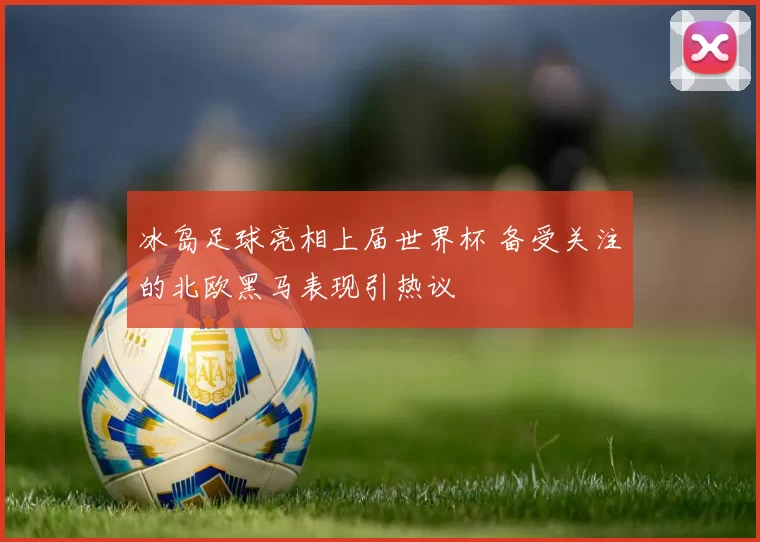 冰岛足球亮相上届世界杯 备受关注的北欧黑马表现引热议
