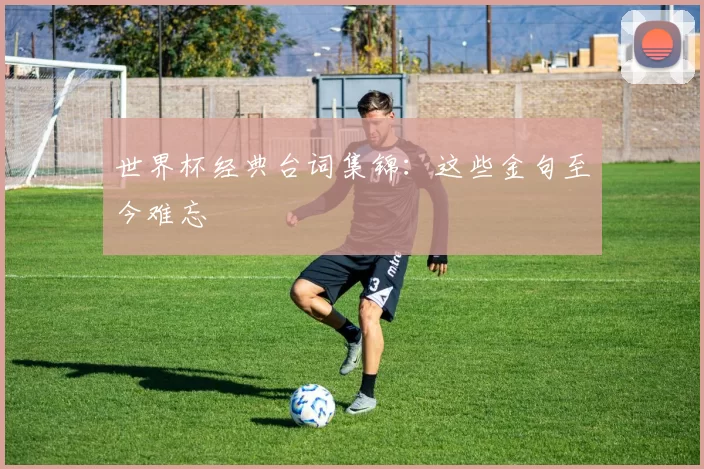 世界杯经典台词集锦:这些金句至今难忘