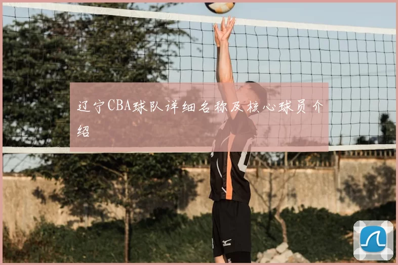 辽宁CBA球队详细名称及核心球员介绍