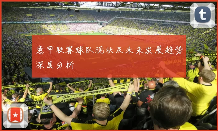 意甲联赛球队现状及未来发展趋势深度分析