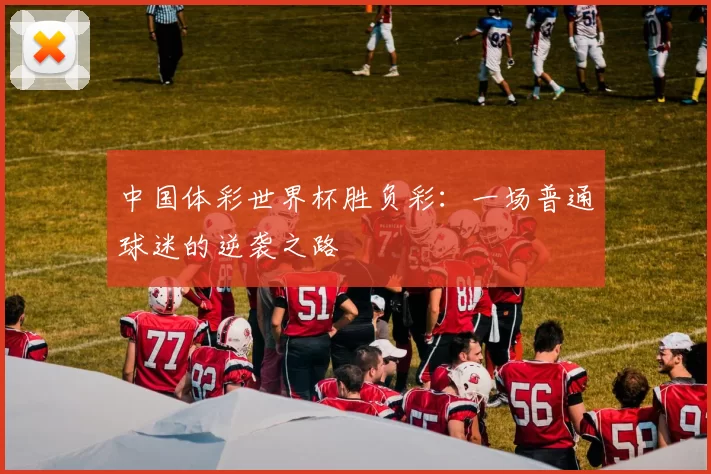 中国体彩世界杯胜负彩:一场普通球迷的逆袭之路