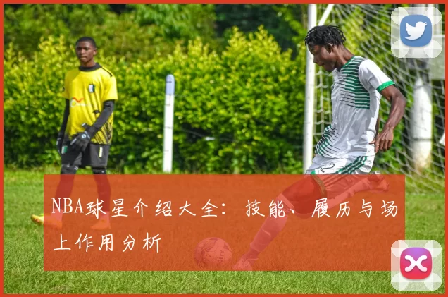 NBA球星介绍大全：技能、履历与场上作用分析
