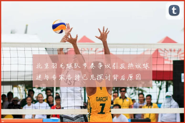 北京羽毛球队节奏争议引发热议球迷与专家各持己见探讨背后原因