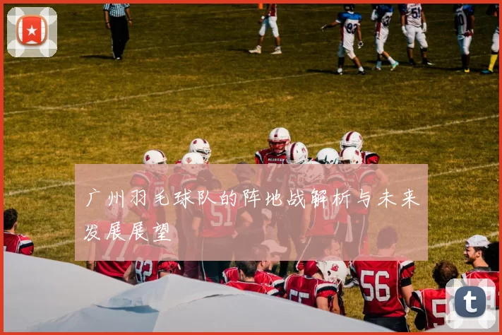 广州羽毛球队的阵地战解析与未来发展展望