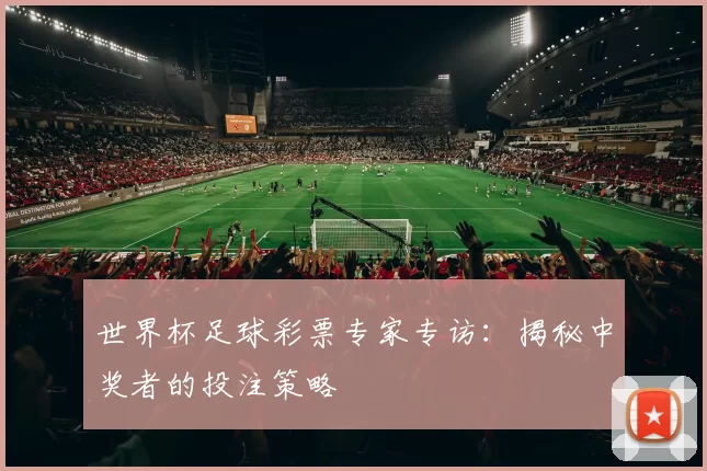 世界杯足球彩票专家专访：揭秘中奖者的投注策略